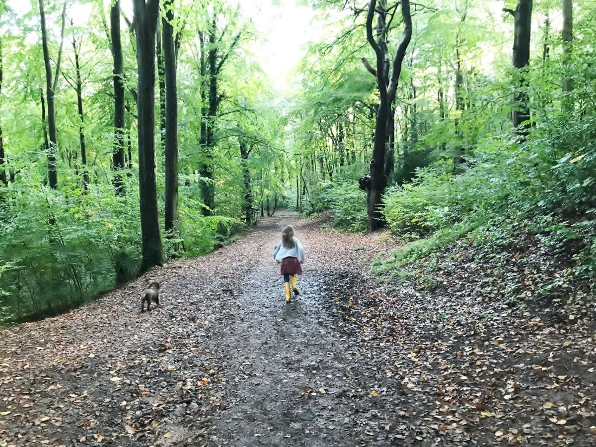 Forest of Avonside