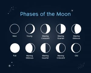 Phases of the moon