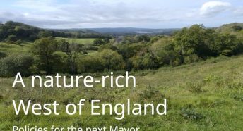 Joint Mayoral Asks for Nature - cover