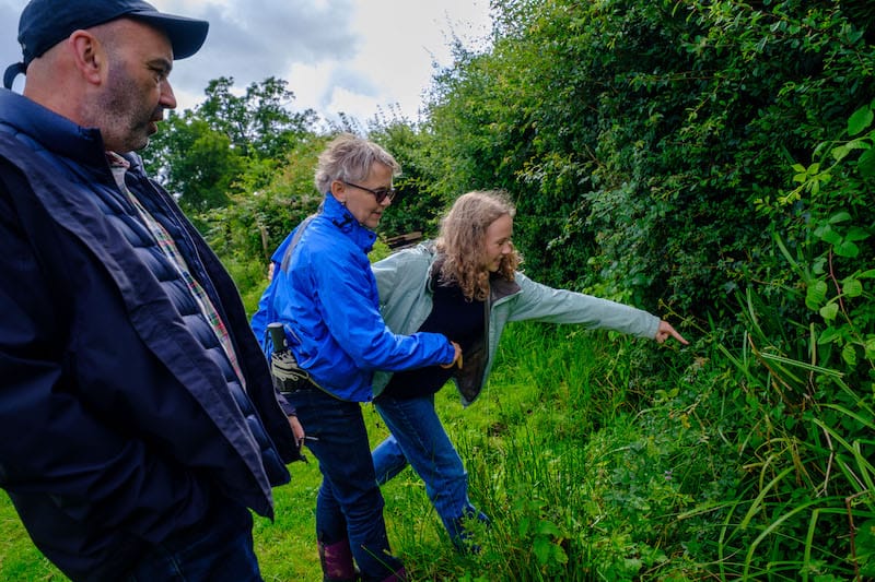 A group of people looking at hedgerows
